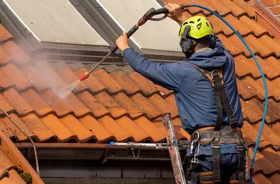Démoussage et hydrofuge de toiture à Andance
